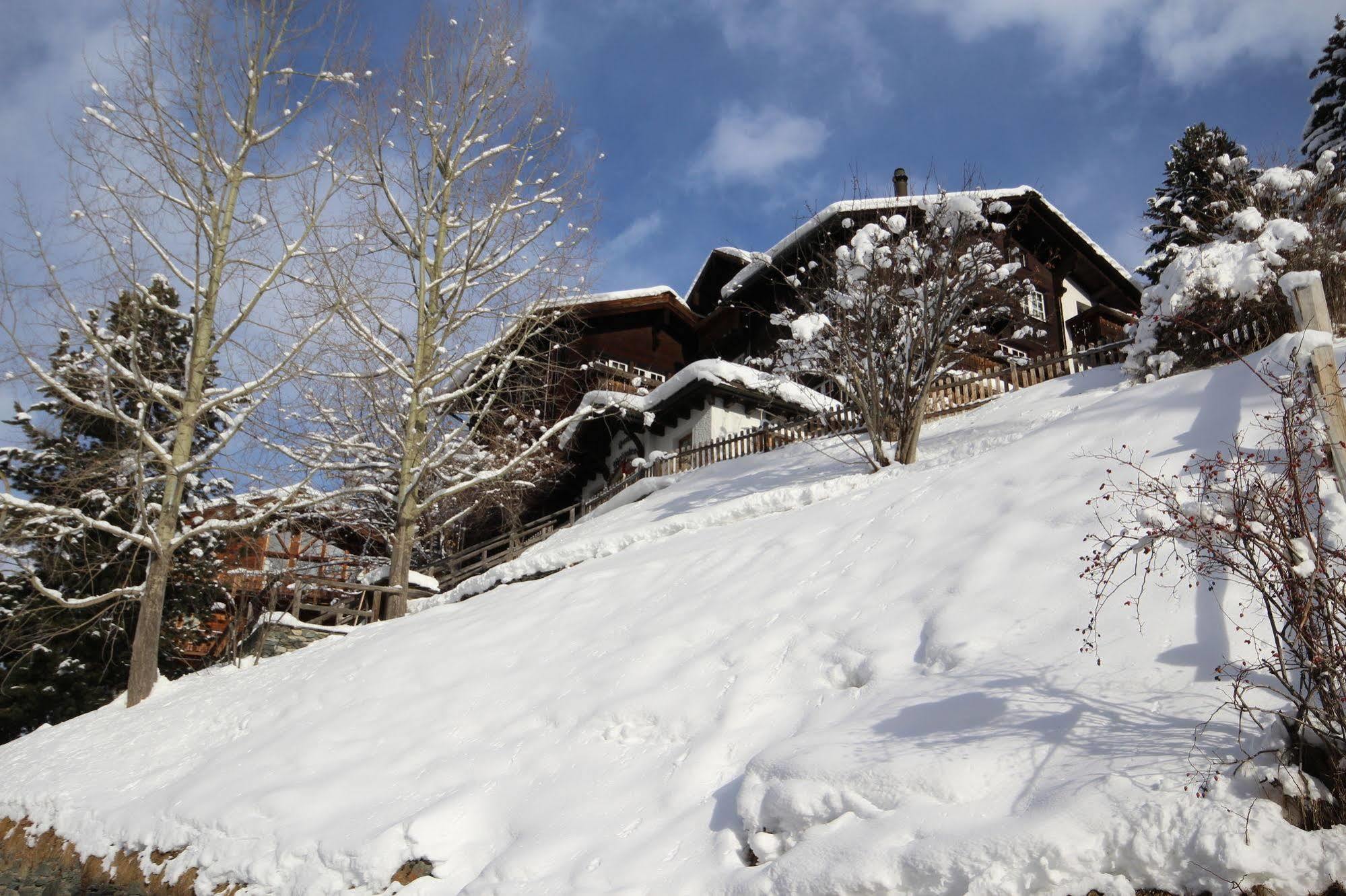 Welschen Hotel Zermatt Luaran gambar